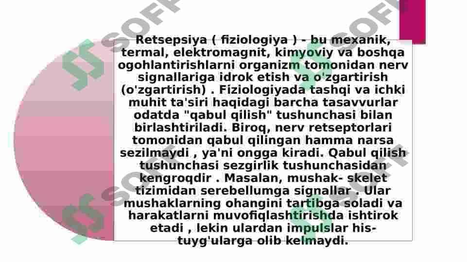 Retsepsiya va Retseptorlar hujayralar, tuzilishi va faoliyati 3