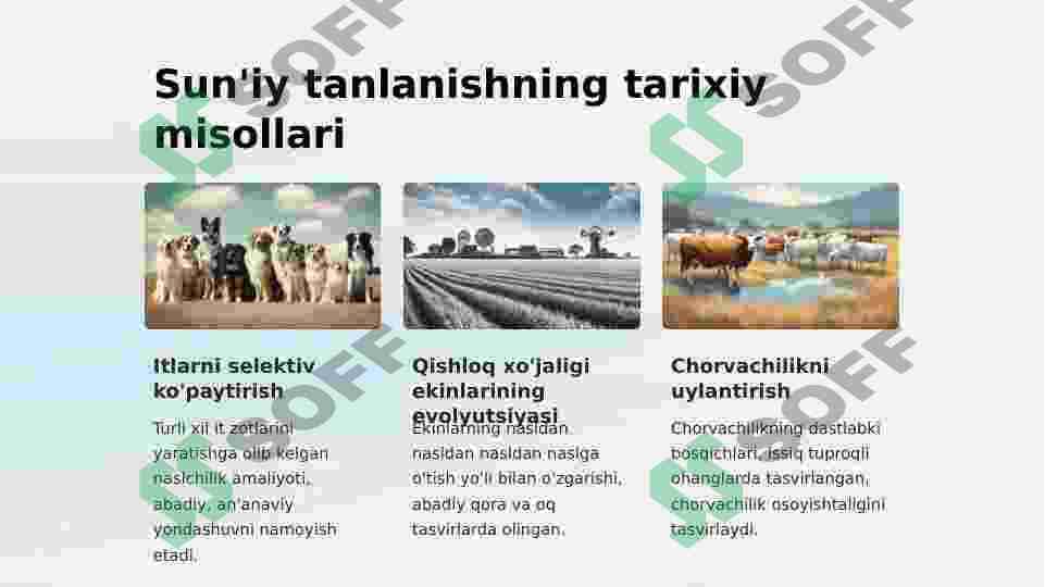 Suniy Tanlanish 3