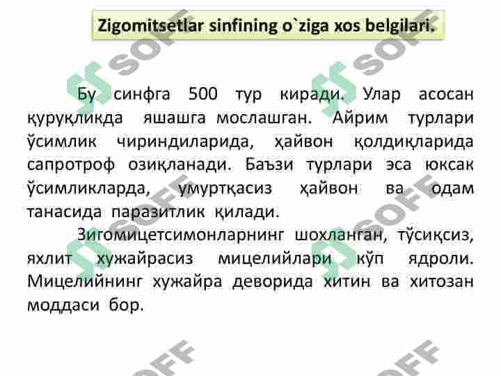 Zigomitsetsimonlar sinfi 3