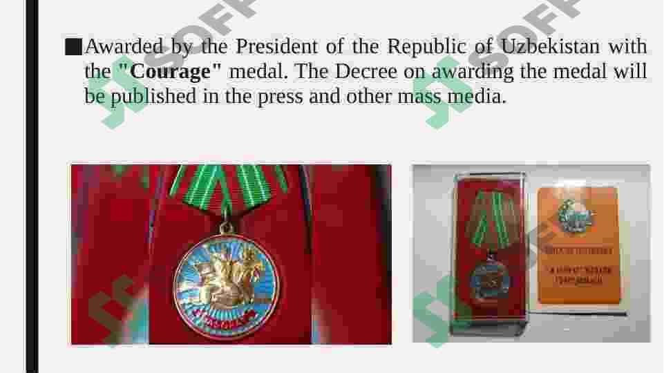 Courage medal 3