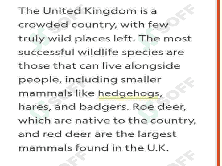 The United Kingdom 3