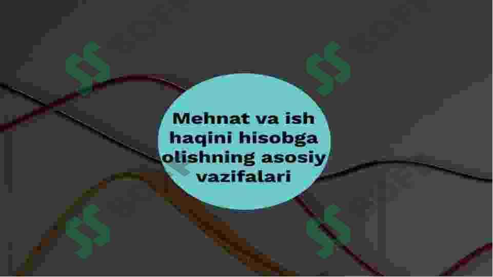 Mehnat va ish haqini hisobga olish 3