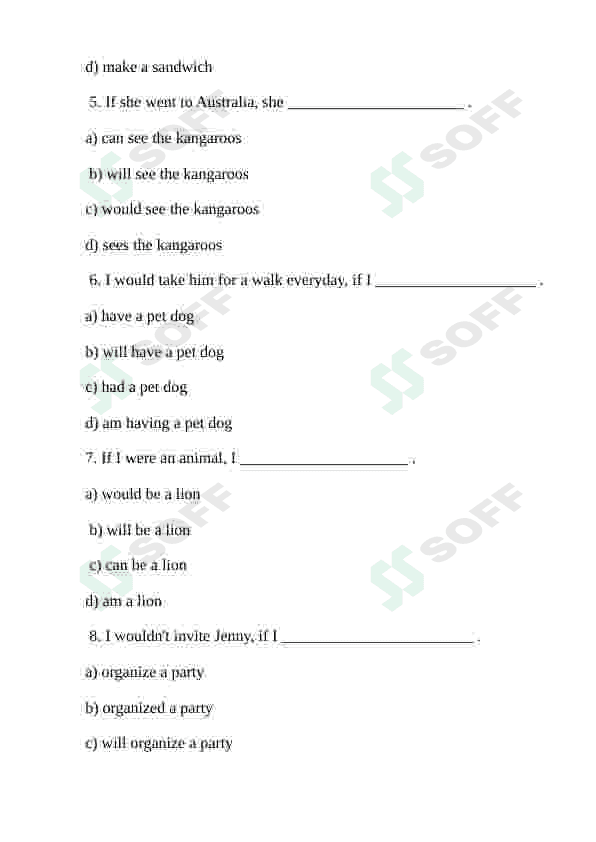 CONDITIONALS EXERCISES 3