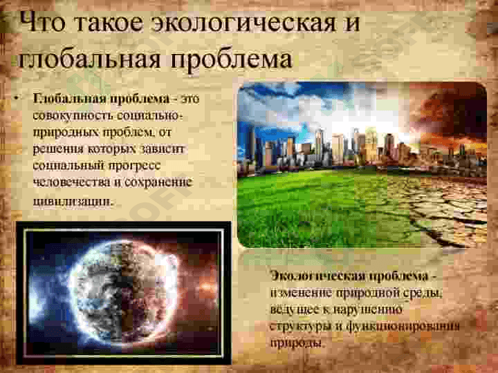 ПРОБЛЕМИ ЭКОЛОГИИЮ 3