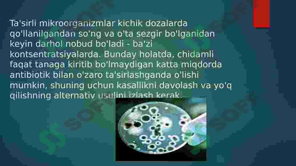 BAKTERIYALARNING ANTIBIOTIK FAGLARGA BO’LGAN SEZGIRLIGINI ANIQLASH 3