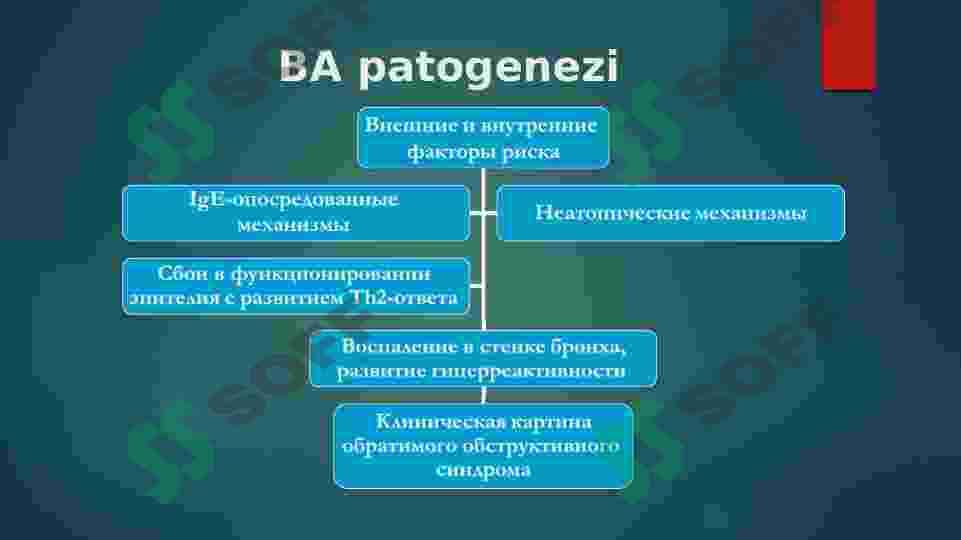 Bronxial astma , sabablari , klinikasi, davolash va praktikasi 4