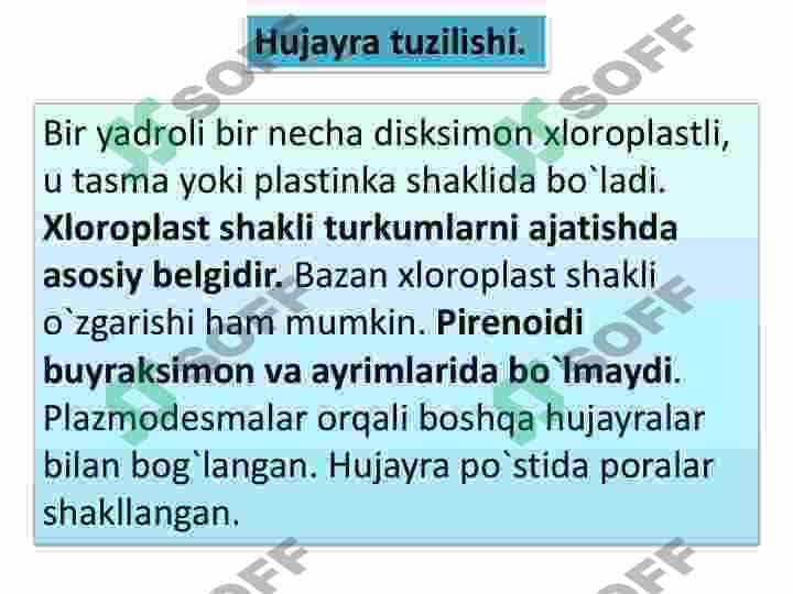 Qoʻnğir va diatom suvoʻtlar 4