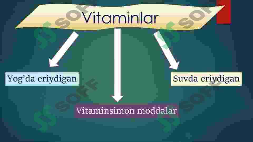 Mikroorganizmlardan vitaminlarni sintezlab olish 4