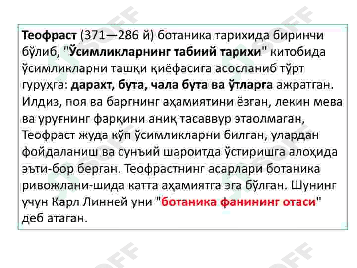 Oʻsimlik hujayrasining tuzilishi va rivojlanish bosqichlari 4