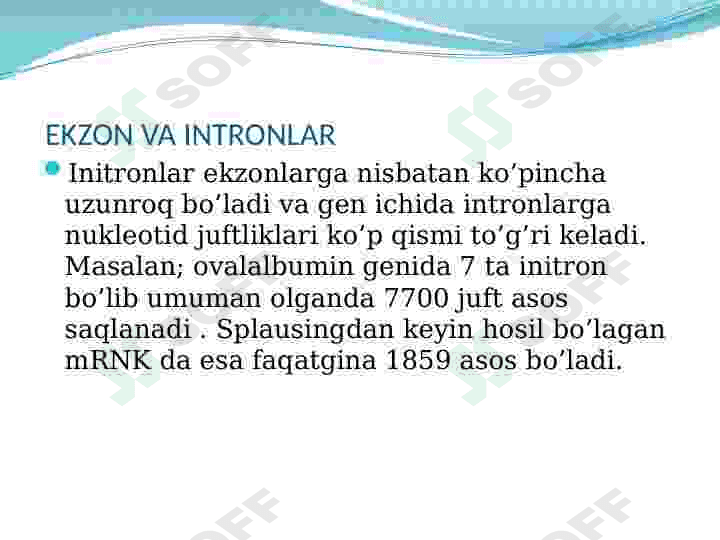 Ekzon va intronlar 4