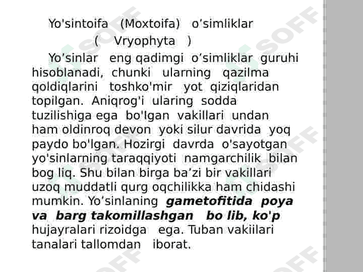 Yoʻsintoifa  sinfi 4