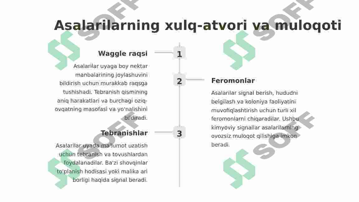 Asalarilar haqida 4