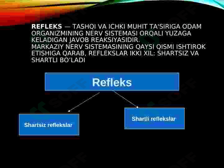 MARKAZIY ASAB SISTEMASINING UMUMIY FIZIOLOGIYASI 4