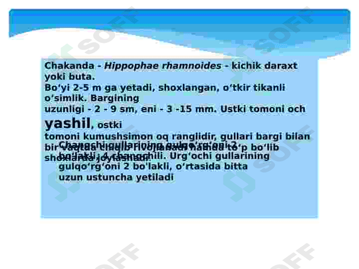 Jiydanamolar qabilasi 4