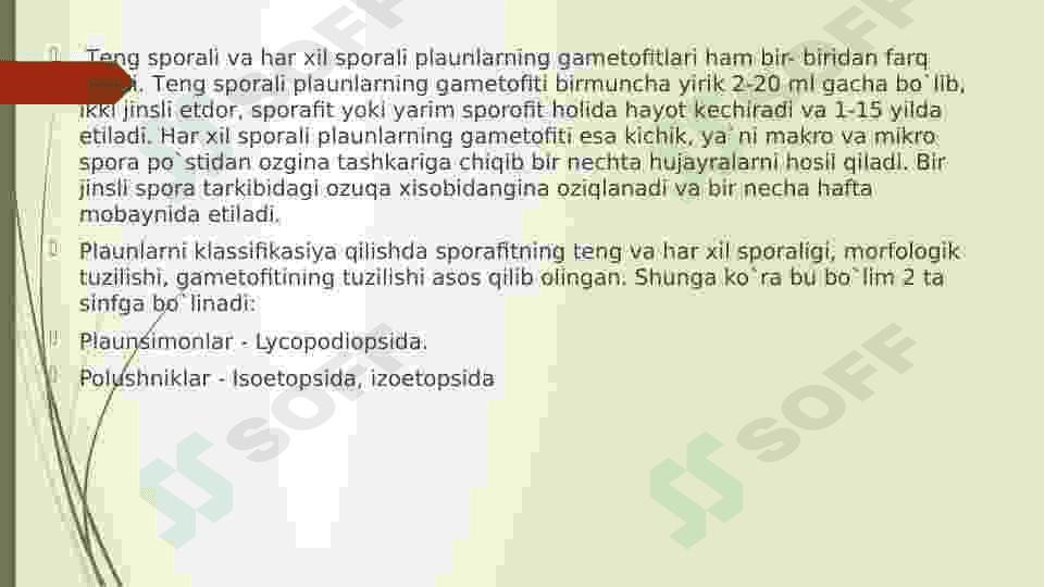 Plauntoifalilar sinfi 4