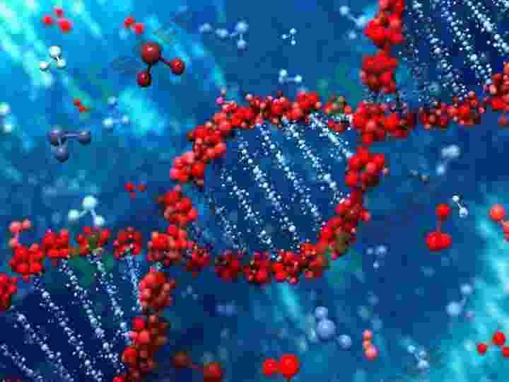 Energetik metabolizm. Biologik oksidlanish yoki bakteriyalarning nafas olishi 4