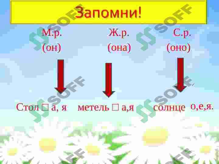ОПРЕДЕЛЕНИЕ РОДА ИМЕН СУЩЕСТВИТЕЛЬНЫХ ПО ЗНАЧЕНИЮ И ОКОНЧАНИЮ 4