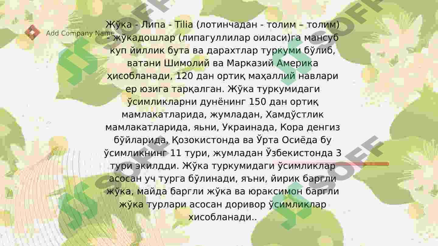 Jo'kadoshlar oilasi 4
