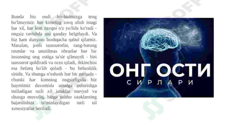 Ong va ong osti 4