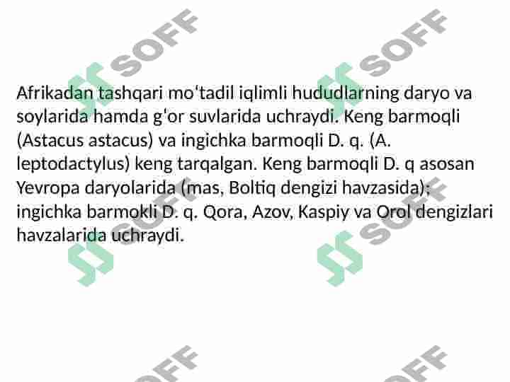 Daryo qisqichbaqasi 4