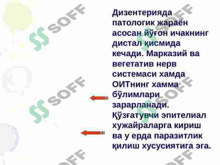 ДИЗЕНТЕРИЯ Ичбуруғ 4