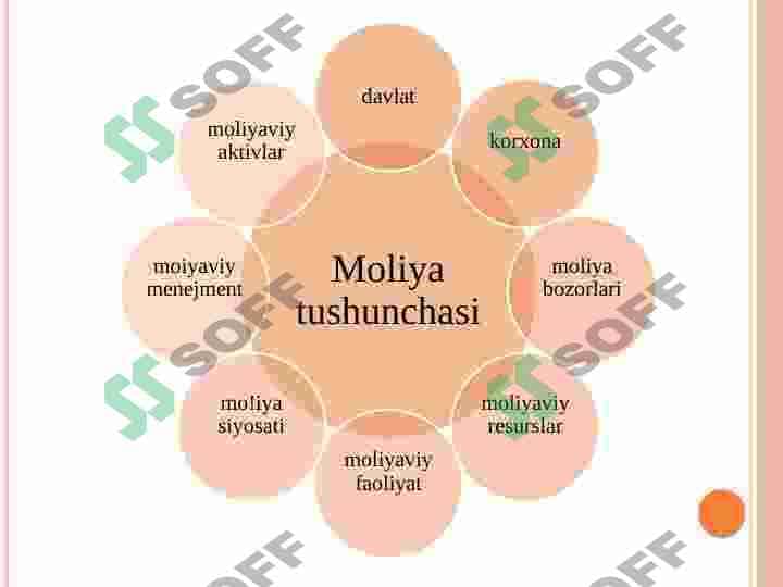 KIMYO VA OZIQ-OVQAT SANOATI KORXONASI MOLIYA KO’RSASTKICHLARI 4