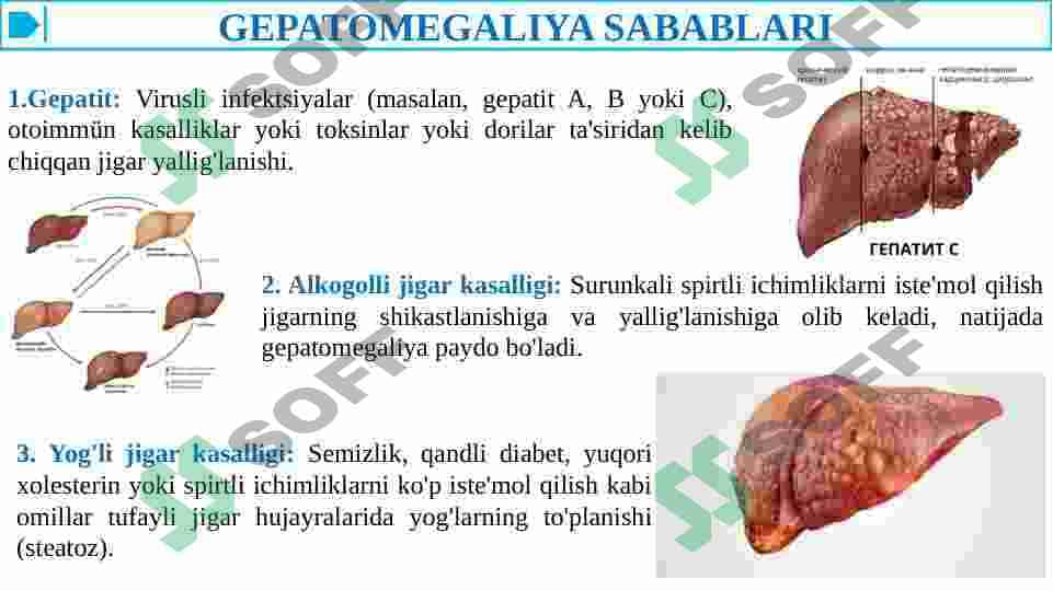 GEPATOMEGALIYA 4