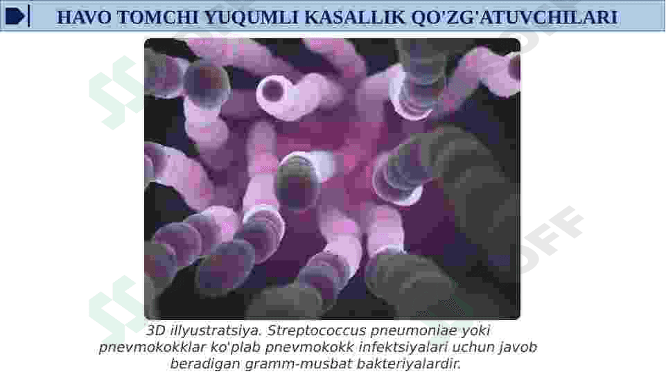 HAVO TOMCHI YUQUMLI KASALLIK QO'ZG'ATUVCHILARI, SIL, BO'G'MA, KO'K YO'TAL KASALIKLARINI LABORATORIYA TASHXISI. 4