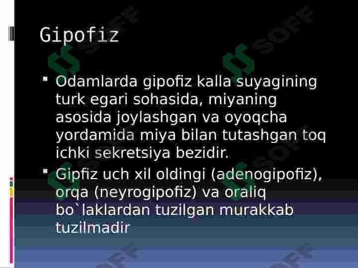 ENDOKRIN BEZLARI 4