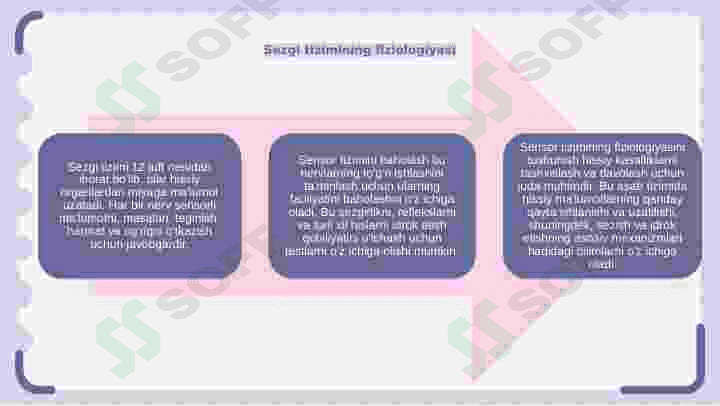 sezgi tizimini baholash 4