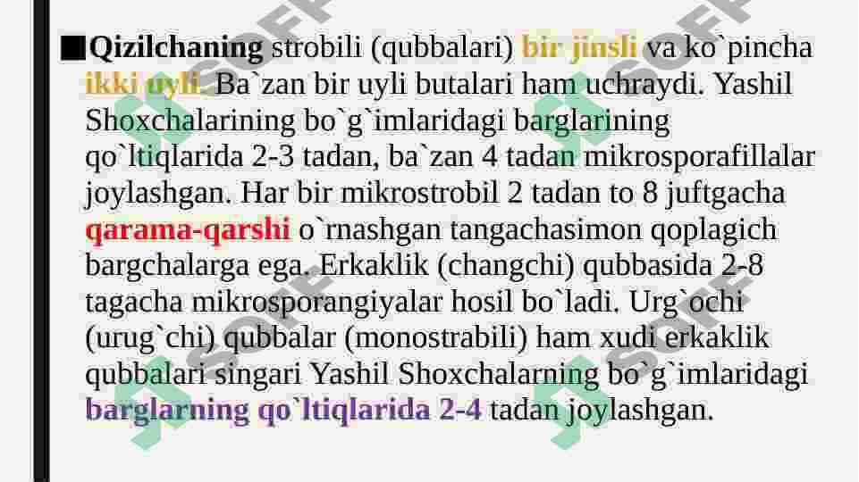 Qizilchadoshlar oilasi va ularning dorivorlik hususiyati 4