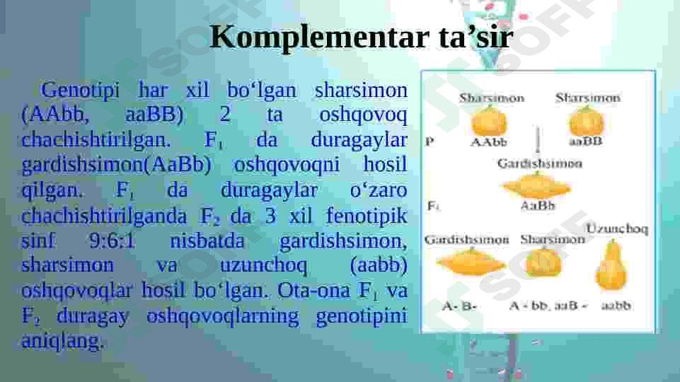 Noallel genlarning o`zaro ta’siri 4