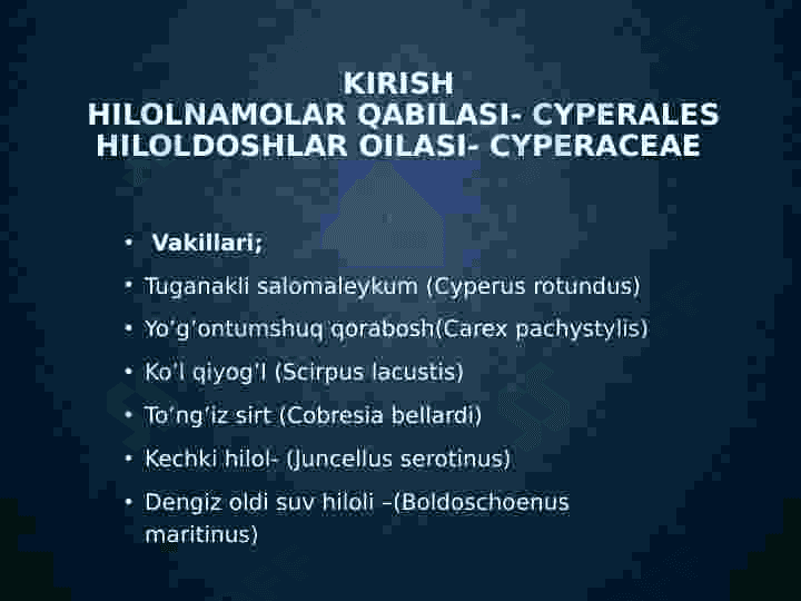 Hilolnamolar oilasi 4