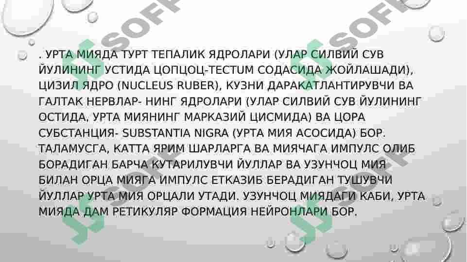 UZUNCHOQ , O`RTA , ORALIQ  MIYA , MIYACHA VA KATTA YARIM SHARLAR PUSTLOG`I FIZIOLOGIYASI 4