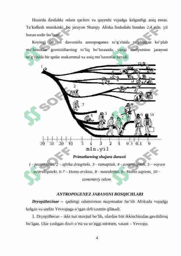 ANTROPOGENEZ 4