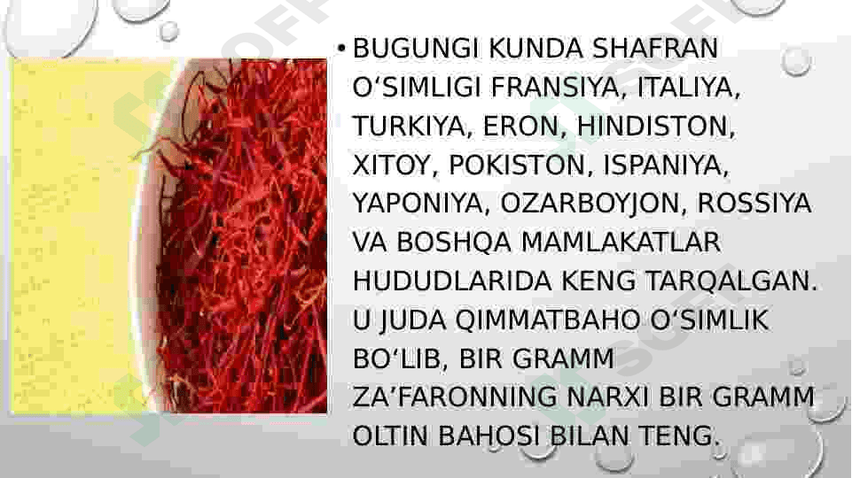 Zafaron oʻsimlik haqida 4