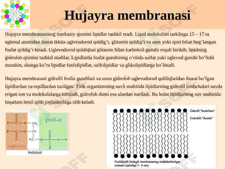 IA Gurux Biometallari 4