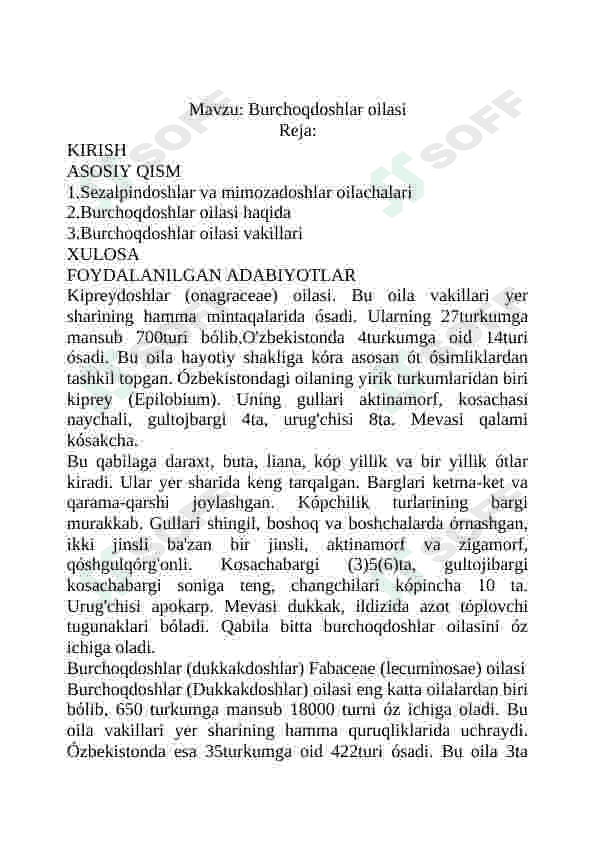 Burchoqdoshlar oilasi 4