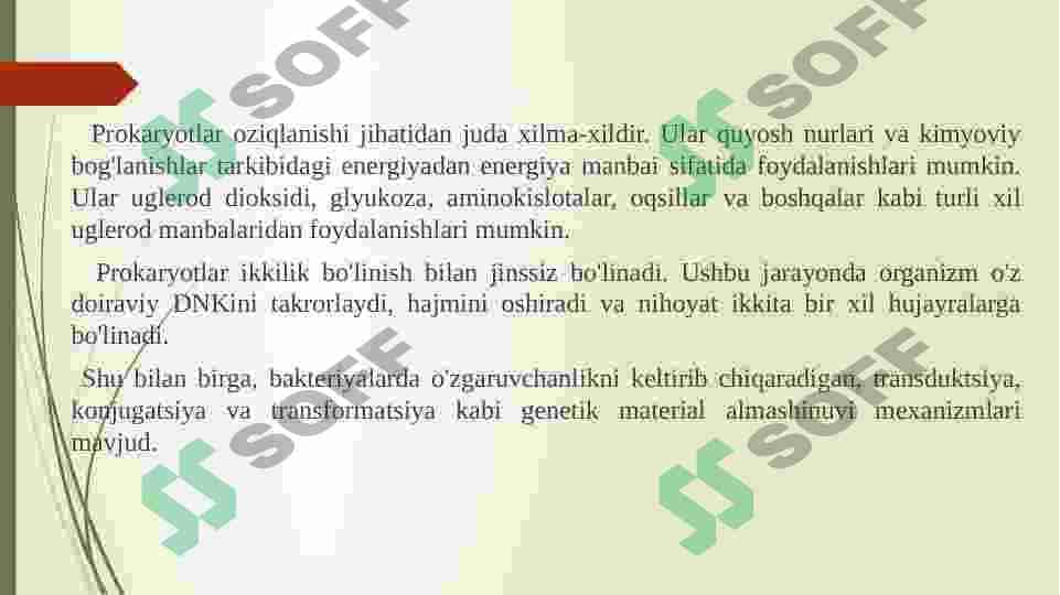 PROKARIOTLAR MORFOLOGIYASI VA HUJAYRA TUZILISHI 4