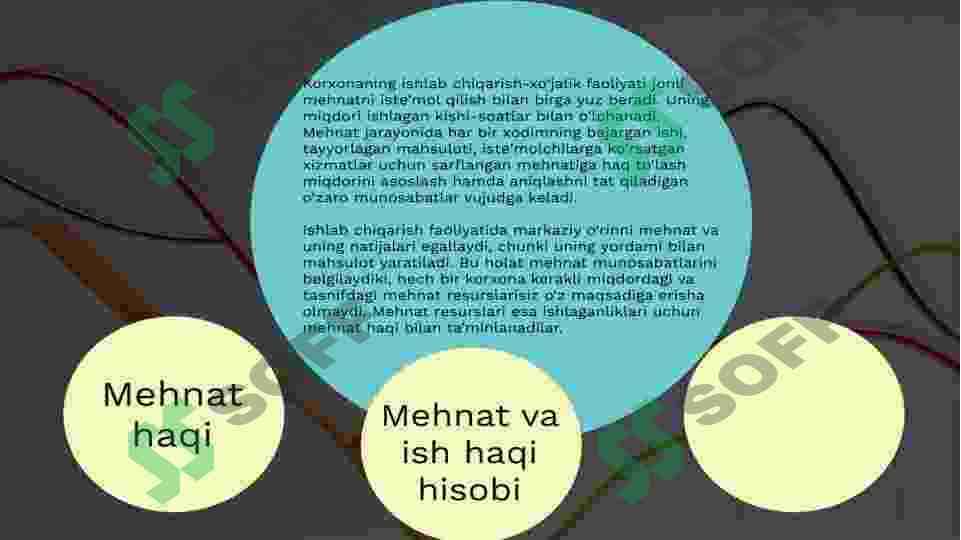 Mehnat va ish haqini hisobga olish 4
