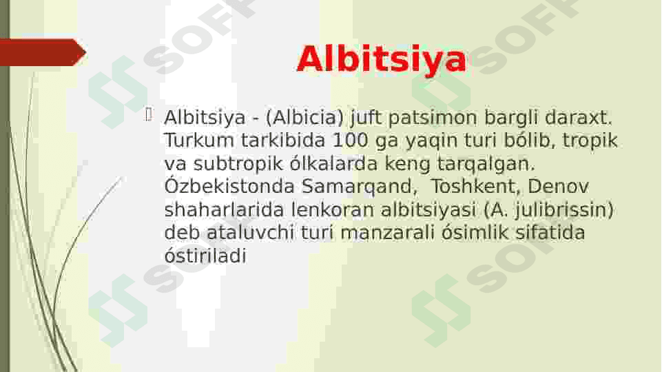 Burchoqdoshlar oilasi 4