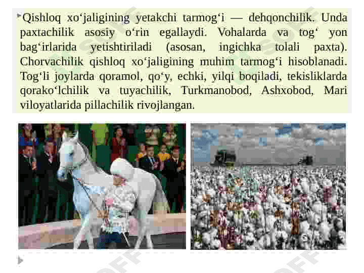 Turkmaniston sanoati 4
