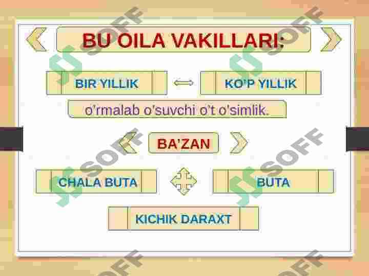 QOVOQDOSHLAR OILASI CUCURBITACEAE 4