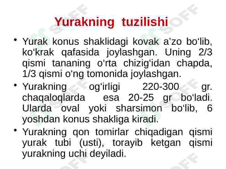 Yurak qon tomir tizimi 4