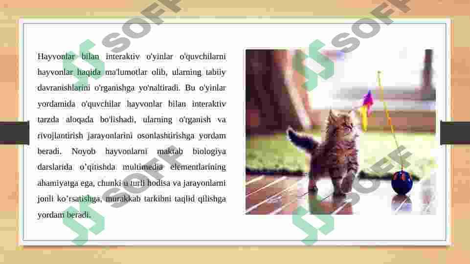 Noyob hayvonlar 4