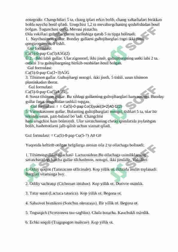 Qoqioʻtdoshlar oilasi botanika kurs ishi 5