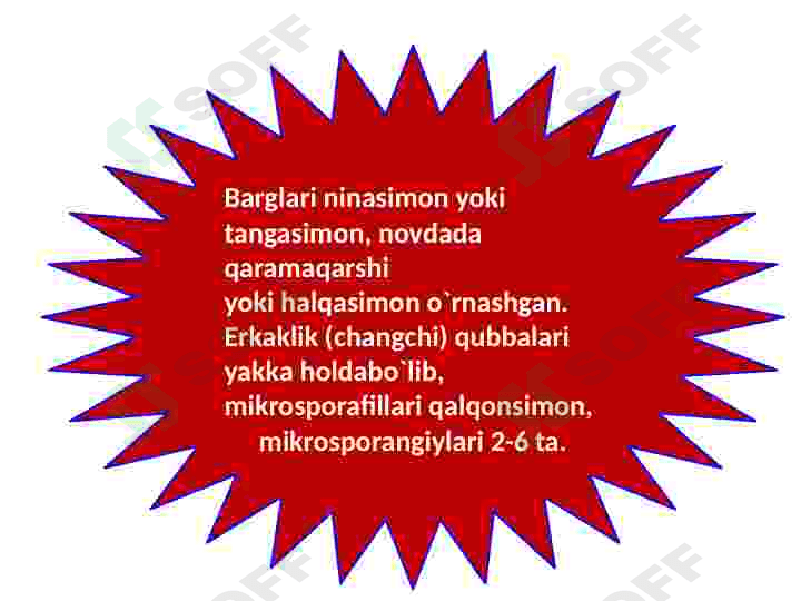 Sarvnamolar qabilasi 5