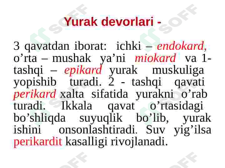 Yurak qon tomir tizimi 5