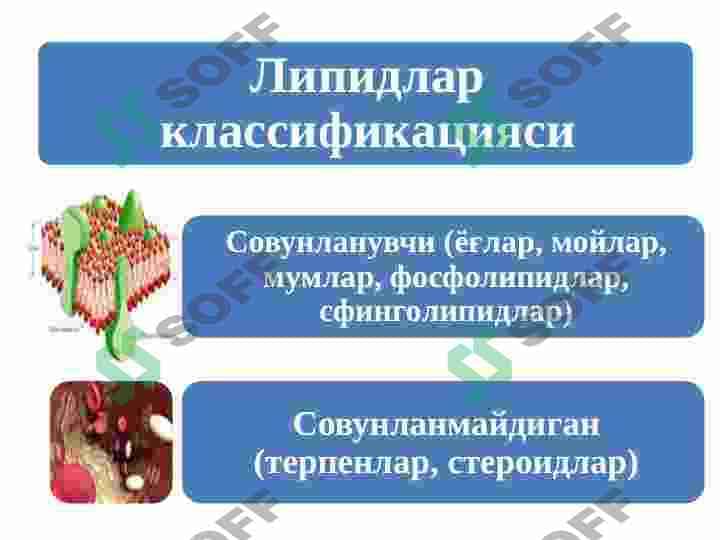 Sovunlanadigan lipidlar 5
