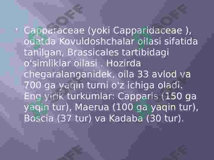 Kovulnomalar qabilasi 5